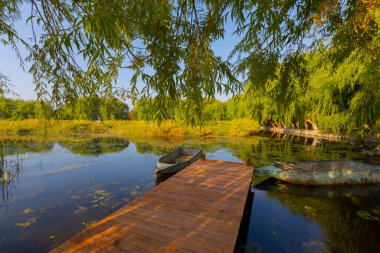 güzel manzara ve sultanmarshes (kuş cenneti) yanındaki erciyes Dağı, kayseri