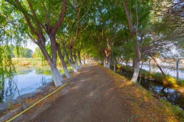 güzel manzara ve sultanmarshes (kuş cenneti) yanındaki erciyes Dağı, kayseri
