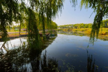 güzel manzara ve sultanmarshes (kuş cenneti) yanındaki erciyes Dağı, kayseri