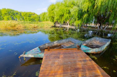 güzel manzara ve sultanmarshes (kuş cenneti) yanındaki erciyes Dağı, kayseri