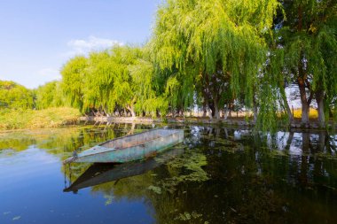 güzel manzara ve sultanmarshes (kuş cenneti) yanındaki erciyes Dağı, kayseri