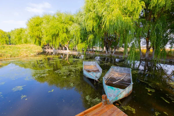 güzel manzara ve sultanmarshes (kuş cenneti) yanındaki erciyes Dağı, kayseri