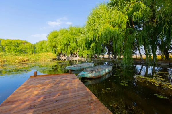 güzel manzara ve sultanmarshes (kuş cenneti) yanındaki erciyes Dağı, kayseri