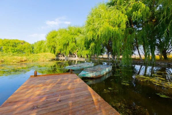 güzel manzara ve sultanmarshes (kuş cenneti) yanındaki erciyes Dağı, kayseri