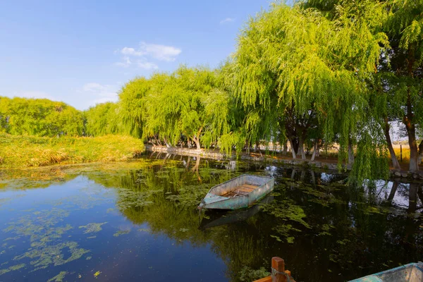 güzel manzara ve sultanmarshes (kuş cenneti) yanındaki erciyes Dağı, kayseri