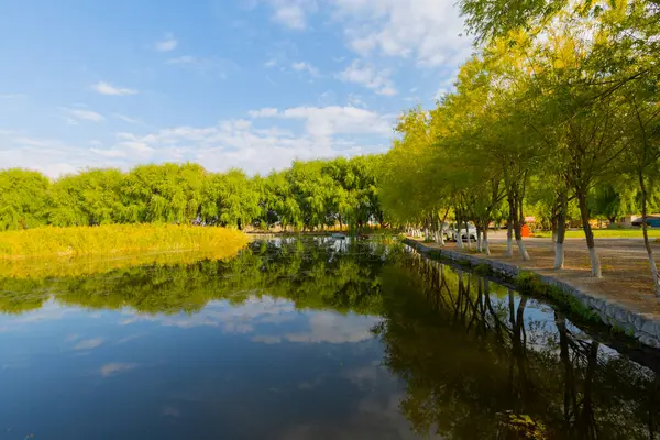 güzel manzara ve sultanmarshes (kuş cenneti) yanındaki erciyes Dağı, kayseri
