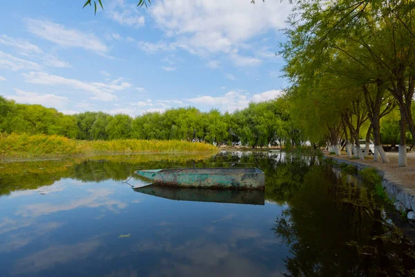 güzel manzara ve sultanmarshes (kuş cenneti) yanındaki erciyes Dağı, kayseri