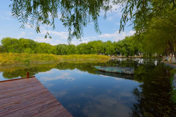 güzel manzara ve sultanmarshes (kuş cenneti) yanındaki erciyes Dağı, kayseri