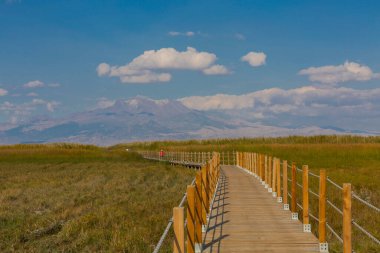 güzel manzara ve sultanmarshes (kuş cenneti) yanındaki erciyes Dağı, kayseri