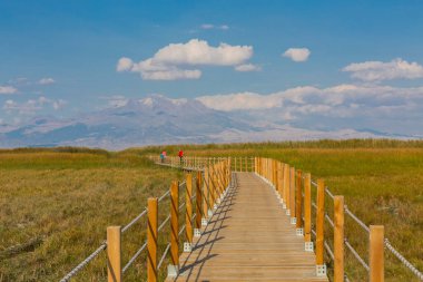 güzel manzara ve sultanmarshes (kuş cenneti) yanındaki erciyes Dağı, kayseri