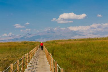 güzel manzara ve sultanmarshes (kuş cenneti) yanındaki erciyes Dağı, kayseri