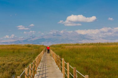 güzel manzara ve sultanmarshes (kuş cenneti) yanındaki erciyes Dağı, kayseri