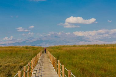 güzel manzara ve sultanmarshes (kuş cenneti) yanındaki erciyes Dağı, kayseri
