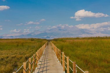 güzel manzara ve sultanmarshes (kuş cenneti) yanındaki erciyes Dağı, kayseri