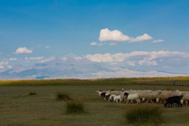 güzel manzara ve sultanmarshes (kuş cenneti) yanındaki erciyes Dağı, kayseri