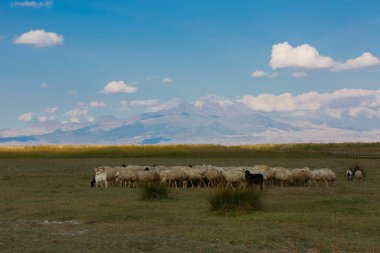 güzel manzara ve sultanmarshes (kuş cenneti) yanındaki erciyes Dağı, kayseri