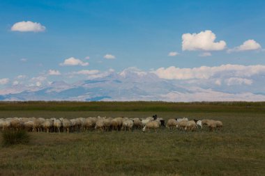 güzel manzara ve sultanmarshes (kuş cenneti) yanındaki erciyes Dağı, kayseri