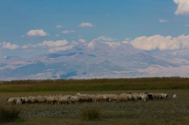 güzel manzara ve sultanmarshes (kuş cenneti) yanındaki erciyes Dağı, kayseri