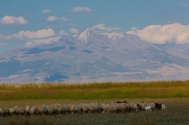 güzel manzara ve sultanmarshes (kuş cenneti) yanındaki erciyes Dağı, kayseri