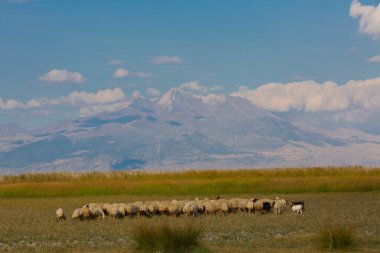 güzel manzara ve sultanmarshes (kuş cenneti) yanındaki erciyes Dağı, kayseri