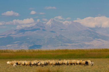 güzel manzara ve sultanmarshes (kuş cenneti) yanındaki erciyes Dağı, kayseri