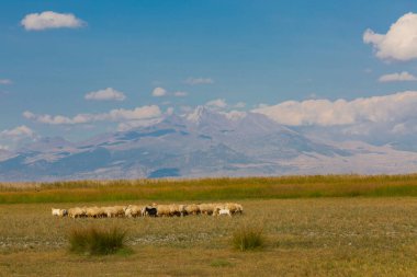 güzel manzara ve sultanmarshes (kuş cenneti) yanındaki erciyes Dağı, kayseri