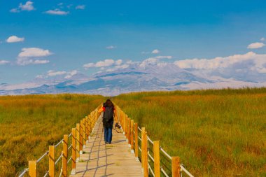 güzel manzara ve sultanmarshes (kuş cenneti) yanındaki erciyes Dağı, kayseri