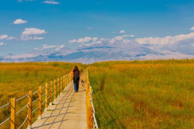 güzel manzara ve sultanmarshes (kuş cenneti) yanındaki erciyes Dağı, kayseri