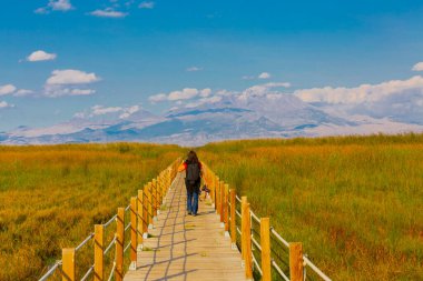 güzel manzara ve sultanmarshes (kuş cenneti) yanındaki erciyes Dağı, kayseri