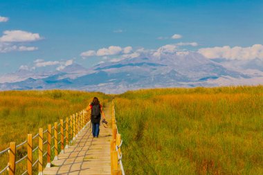güzel manzara ve sultanmarshes (kuş cenneti) yanındaki erciyes Dağı, kayseri