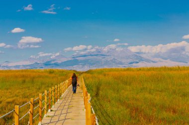 güzel manzara ve sultanmarshes (kuş cenneti) yanındaki erciyes Dağı, kayseri