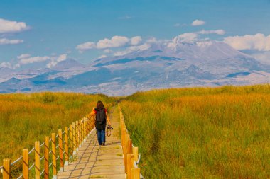 güzel manzara ve sultanmarshes (kuş cenneti) yanındaki erciyes Dağı, kayseri