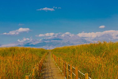 güzel manzara ve sultanmarshes (kuş cenneti) yanındaki erciyes Dağı, kayseri