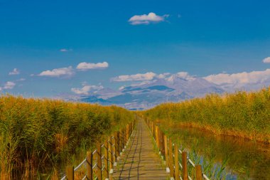 güzel manzara ve sultanmarshes (kuş cenneti) yanındaki erciyes Dağı, kayseri