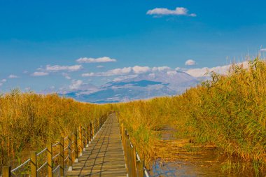 güzel manzara ve sultanmarshes (kuş cenneti) yanındaki erciyes Dağı, kayseri