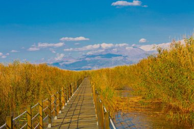 güzel manzara ve sultanmarshes (kuş cenneti) yanındaki erciyes Dağı, kayseri