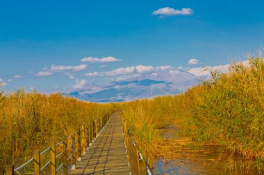 güzel manzara ve sultanmarshes (kuş cenneti) yanındaki erciyes Dağı, kayseri