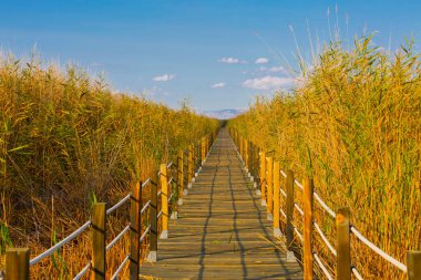güzel manzara ve sultanmarshes (kuş cenneti) yanındaki erciyes Dağı, kayseri