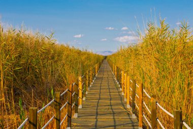 güzel manzara ve sultanmarshes (kuş cenneti) yanındaki erciyes Dağı, kayseri