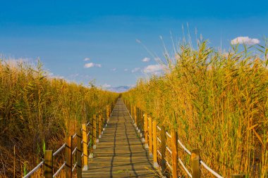 güzel manzara ve sultanmarshes (kuş cenneti) yanındaki erciyes Dağı, kayseri