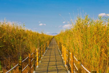 güzel manzara ve sultanmarshes (kuş cenneti) yanındaki erciyes Dağı, kayseri