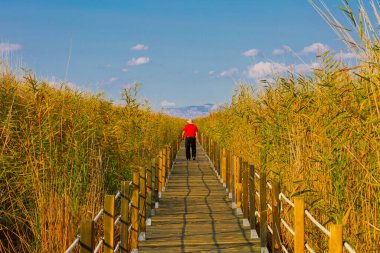 güzel manzara ve sultanmarshes (kuş cenneti) yanındaki erciyes Dağı, kayseri