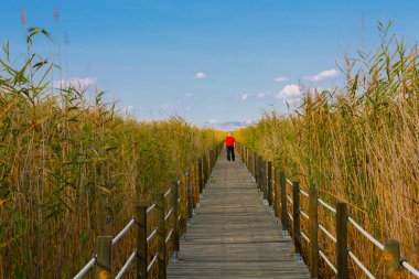 güzel manzara ve sultanmarshes (kuş cenneti) yanındaki erciyes Dağı, kayseri