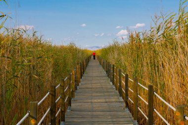 güzel manzara ve sultanmarshes (kuş cenneti) yanındaki erciyes Dağı, kayseri
