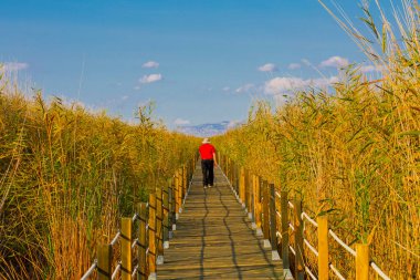 güzel manzara ve sultanmarshes (kuş cenneti) yanındaki erciyes Dağı, kayseri