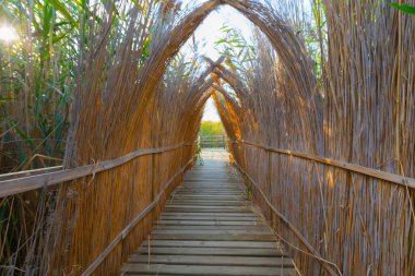 güzel manzara ve sultanmarshes (kuş cenneti) yanındaki erciyes Dağı, kayseri