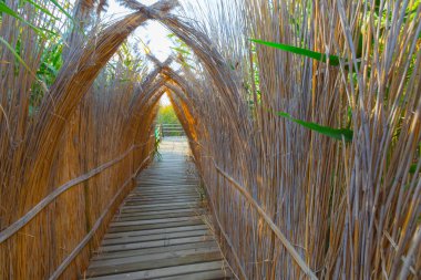güzel manzara ve sultanmarshes (kuş cenneti) yanındaki erciyes Dağı, kayseri