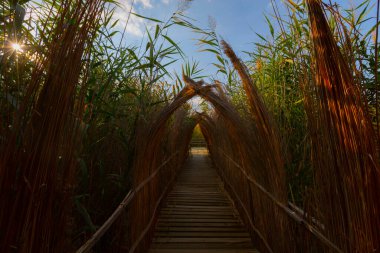 güzel manzara ve sultanmarshes (kuş cenneti) yanındaki erciyes Dağı, kayseri