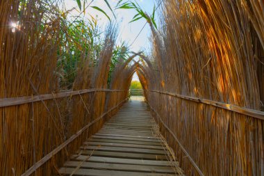 güzel manzara ve sultanmarshes (kuş cenneti) yanındaki erciyes Dağı, kayseri