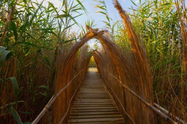 güzel manzara ve sultanmarshes (kuş cenneti) yanındaki erciyes Dağı, kayseri